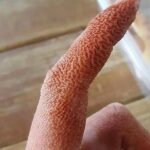 Waarom krijgen we rimpels op onze huid als we in het water blijven? Wetenschappers geven antwoord.