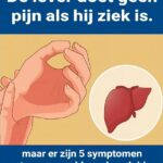 Een zieke lever veroorzaakt geen pijn, maar er zijn 5 symptomen die kunnen wijzen op een leverprobleem.