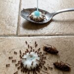 Geen vliegende en kruipende insecten meer: ​​een zelfgemaakt mengsel dat een uur inwerkt, is voldoende om ze te verjagen.