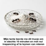 Ik heb al van alles geprobeerd, maar deze truc werkt voor mij!