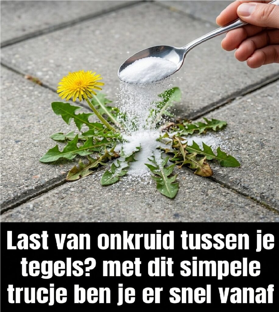 Het Geheime Wondermiddel Uit Je Keukenkastje Dat Onkruid Tussen Tegels Voorgoed Laat Verdwijnen