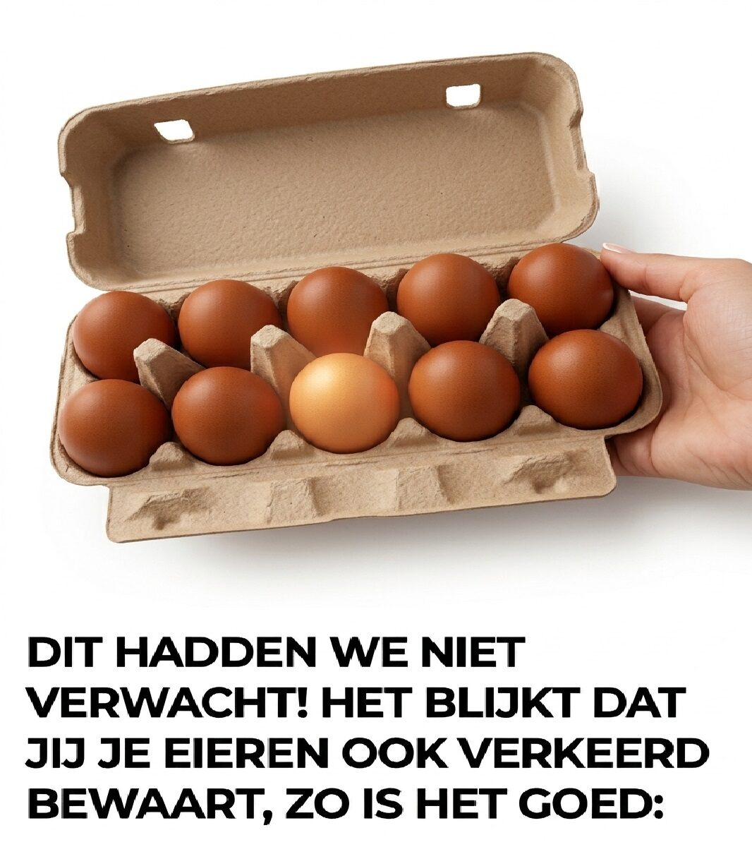 Dit Is De Grootste Fout Die Iedereen Maakt Bij Het Bewaren Van Eieren (En Zo Blijven Ze Wekenlang Vers)