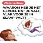 Die plotselinge val die je midden in de nacht wakker maakt: wat gebeurt er nu eigenlijk in je hersenen?